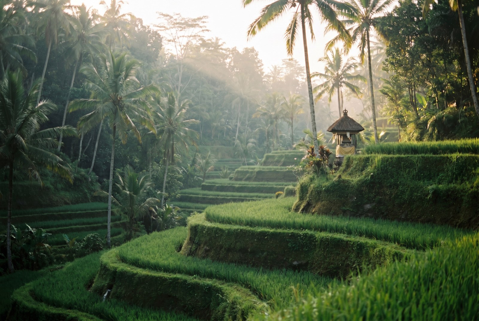 Bali